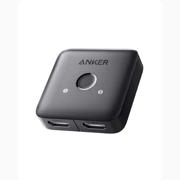 Switch Anker