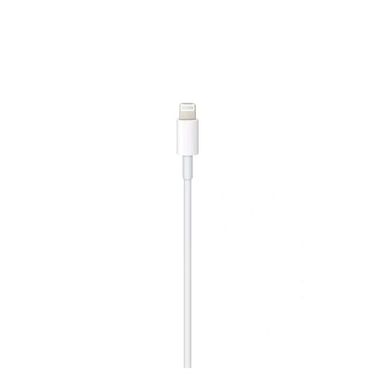 USB APPLE