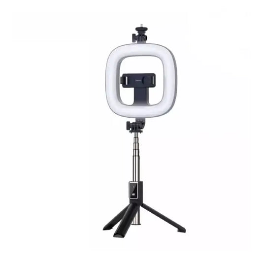 Selfie Stick Earldom