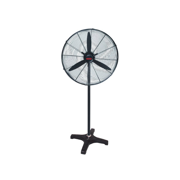 Stand Fan Fresh