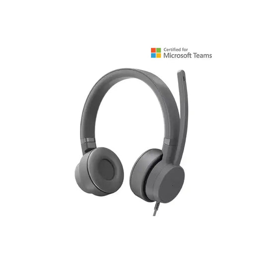 Lenovo Go Headset Wired ANC storm Grey/GXD1C99243.