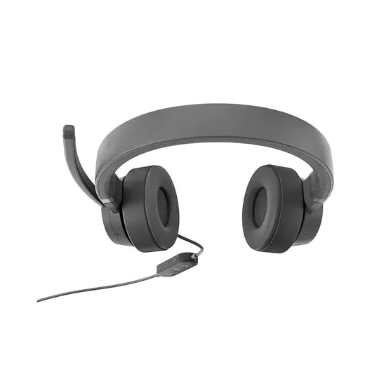 Lenovo Go Headset Wired ANC storm Grey/GXD1C99243.