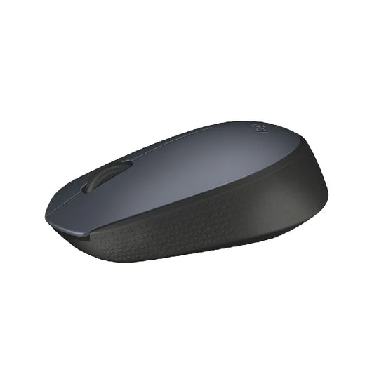 Mouse Logitech M170