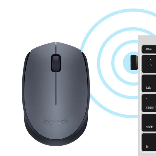 Mouse Logitech M170